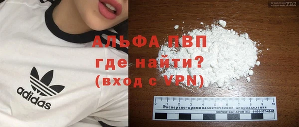 PSILOCYBIN Балахна