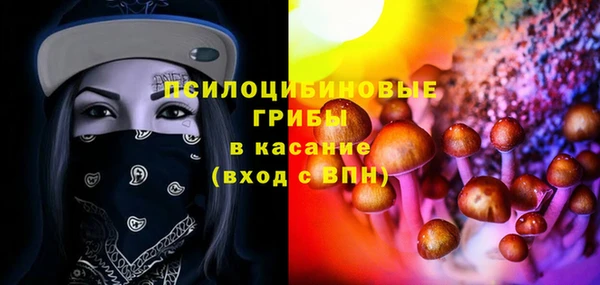 крисы Белоозёрский
