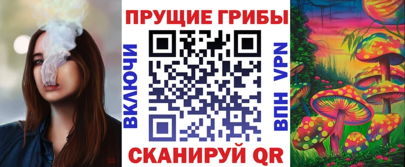 Купить где Дудинка Псилоцибиновые грибы Magic Shrooms