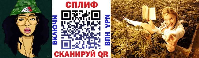 Купить где Дудинка Конопля AK-47